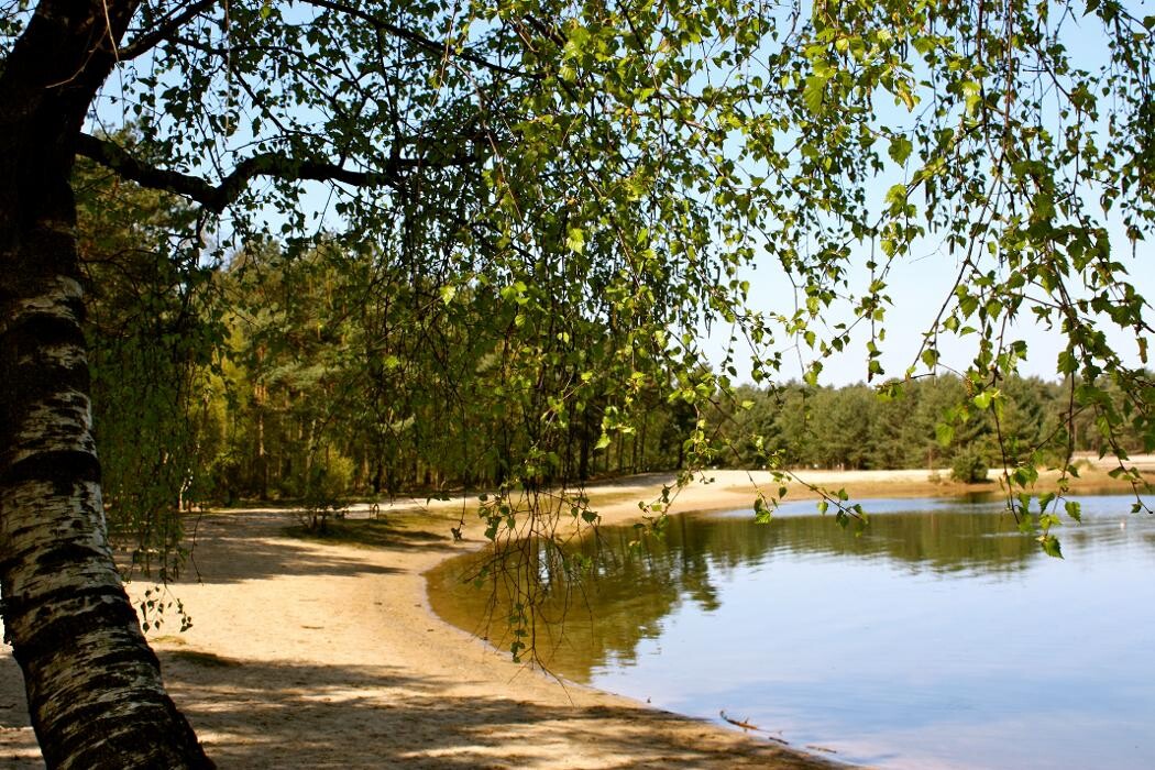 Foto's Vakantiepark Herperduin