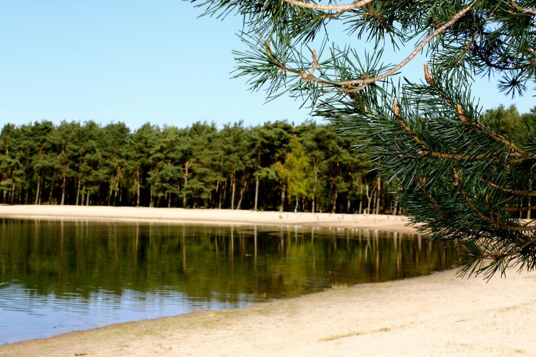 Foto's Vakantiepark Herperduin