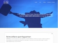 Website Screenshot VDP Belastingadviseurs