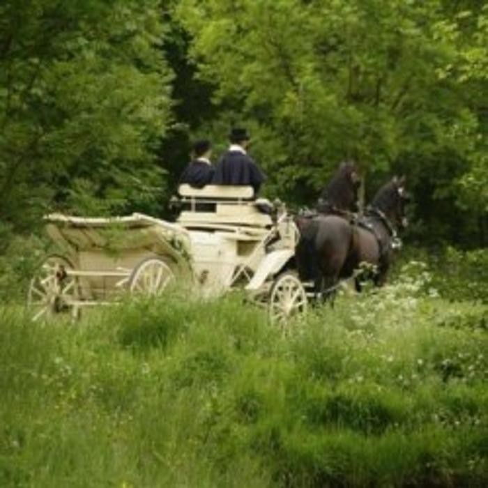 Stalhouderij de westfries Logo