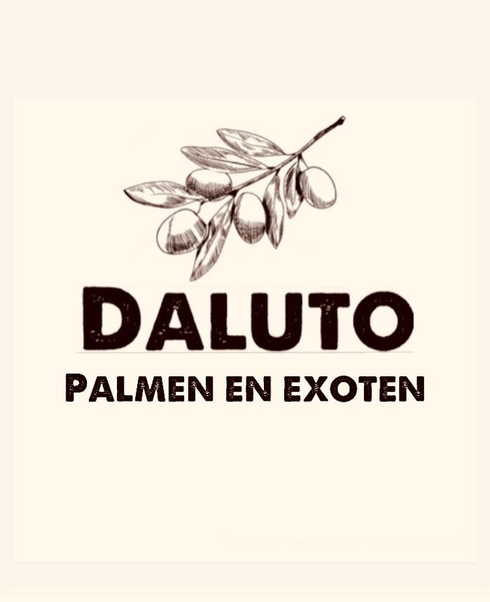 Foto's DALUTO Palmen en Exoten