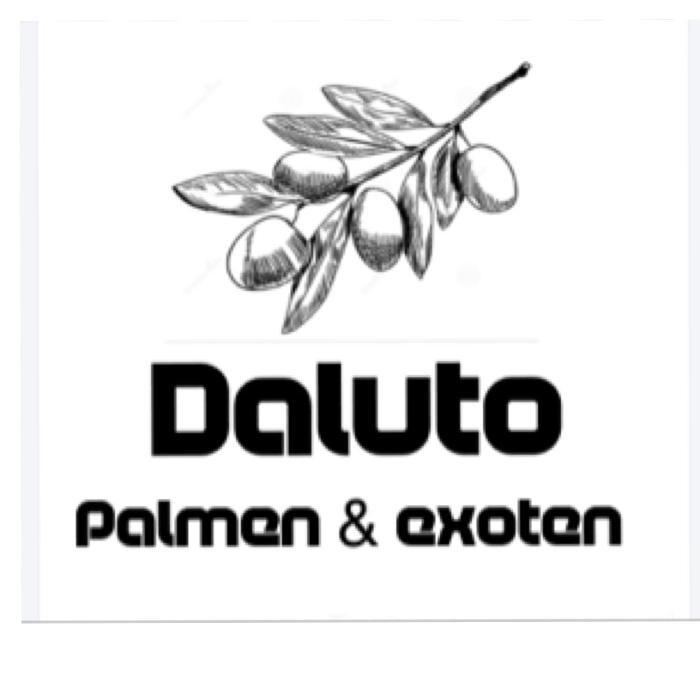 Foto's DALUTO Palmen en Exoten
