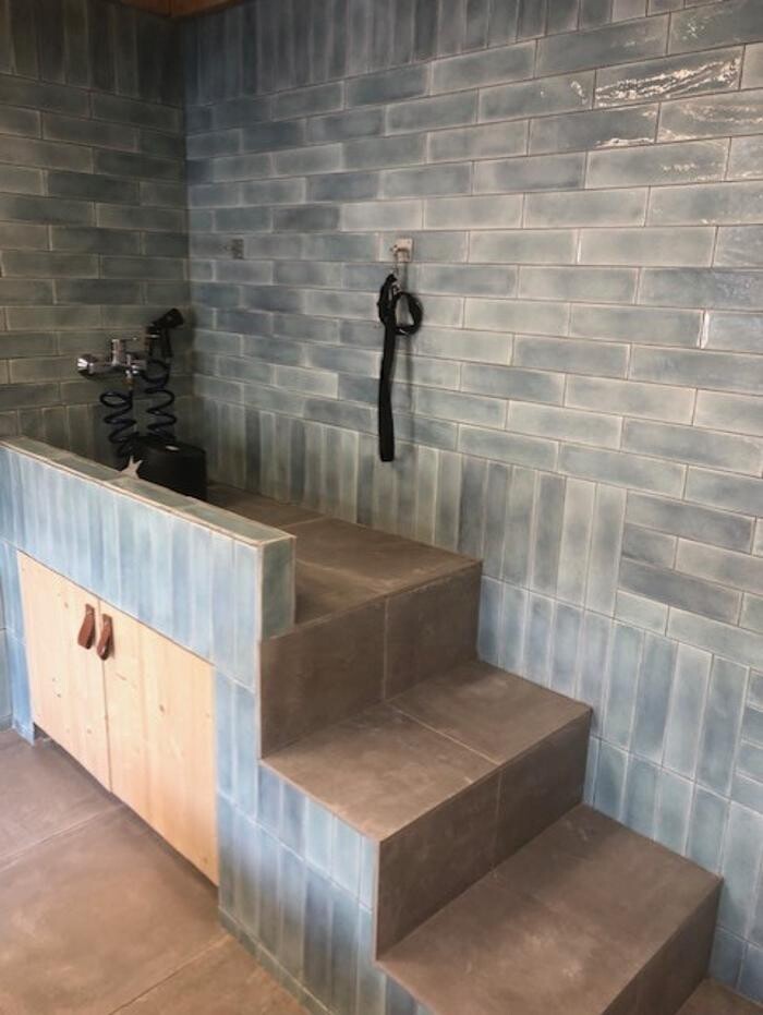 Foto's Trimsalon The Dog Studio