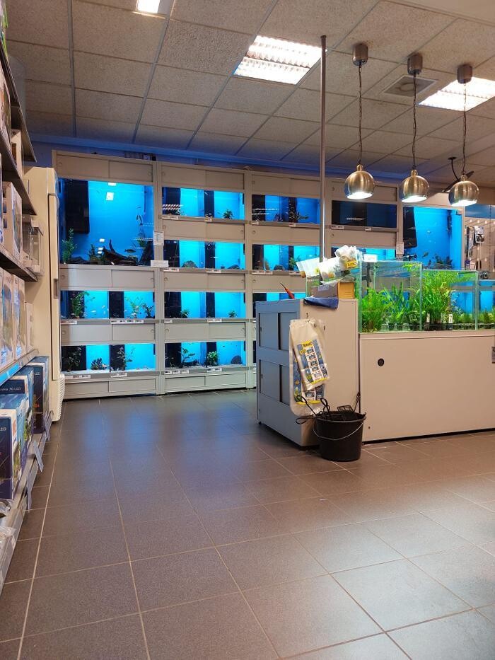 Foto's Pets Place
