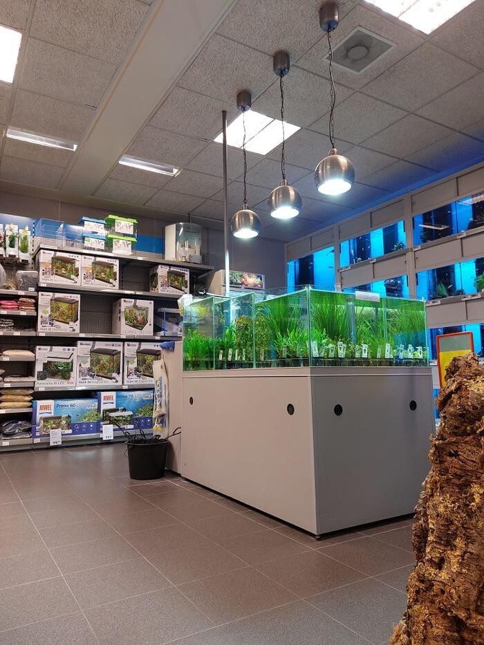 Foto's Pets Place