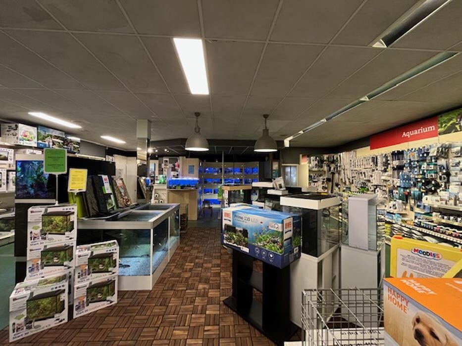 Foto's Pets Place