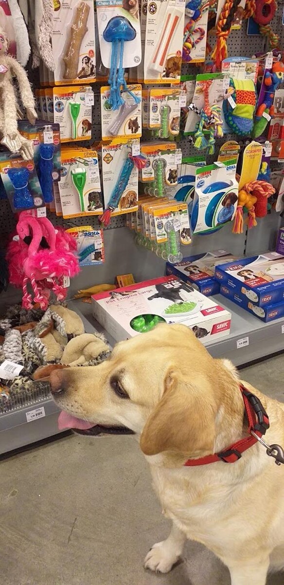 Foto's Pets Place Boerenbond