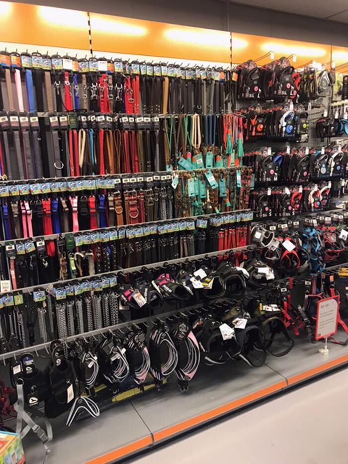 Foto's Pets Place