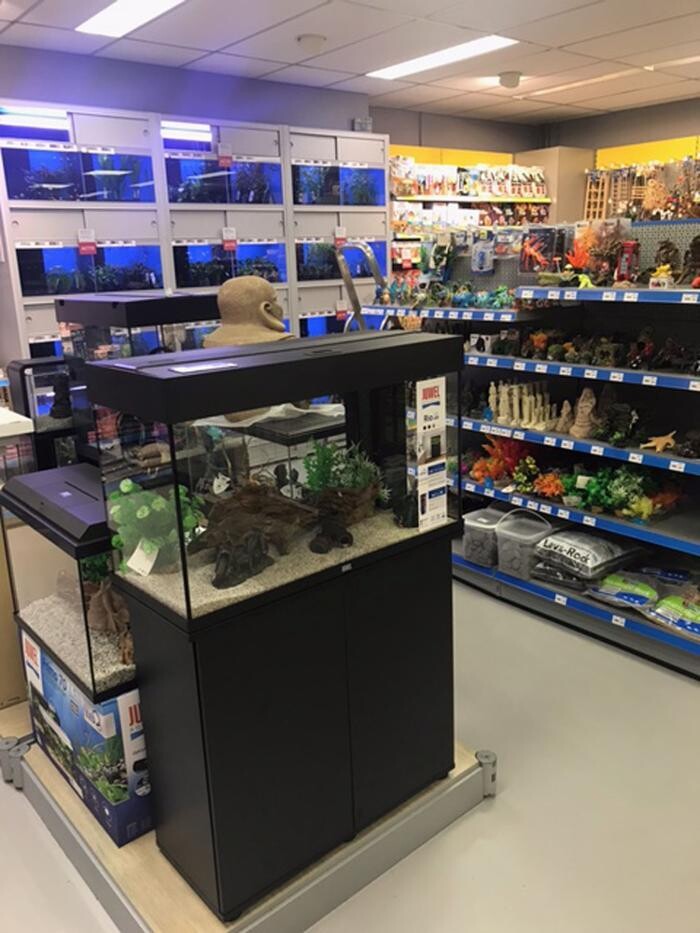 Foto's Pets Place