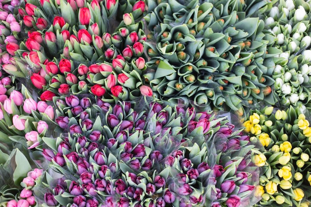 Foto's Bloemen Bezorgen Almere