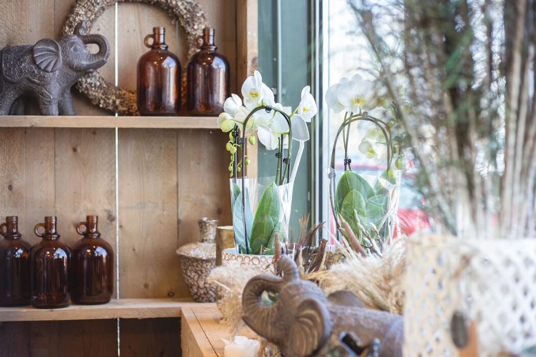 Foto's Bloemen Bezorgen Almere