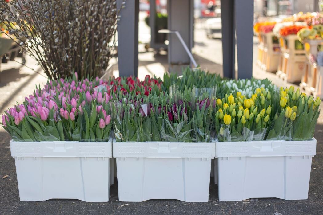 Foto's Bloemen Bezorgen Almere