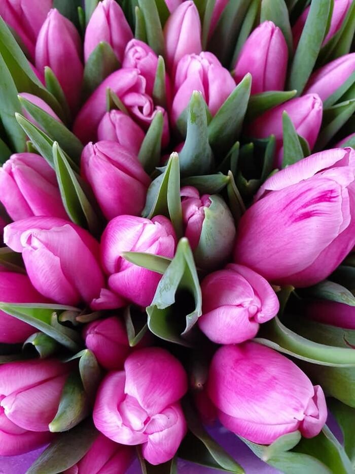 Foto's Bloemen Bezorgen Almere