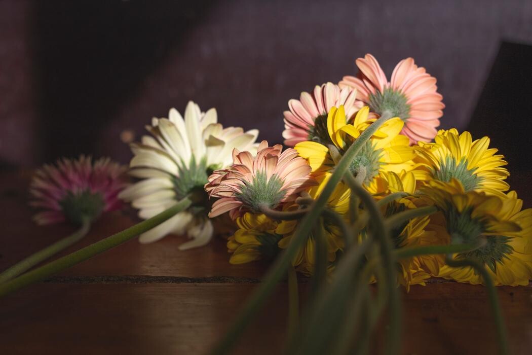 Foto's Bloemen Bezorgen Almere