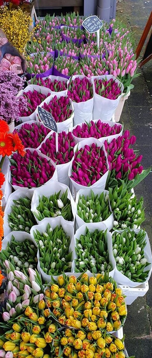 Foto's Bloemen Bezorgen Almere
