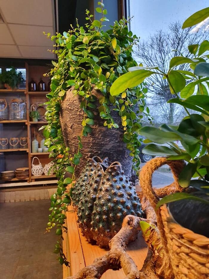 Foto's Bloemen Bezorgen Almere