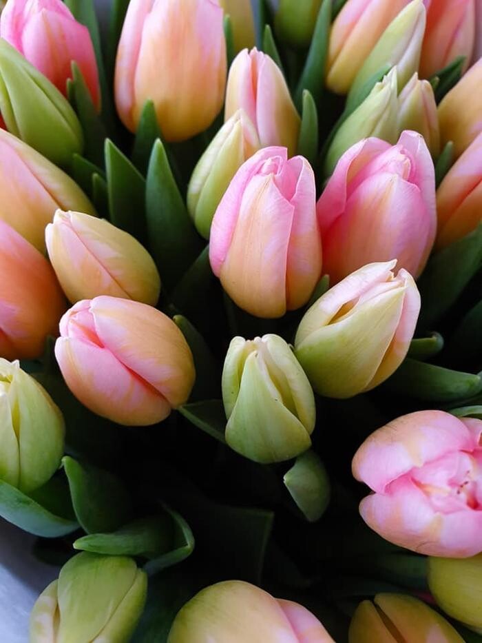 Foto's Bloemen Bezorgen Almere