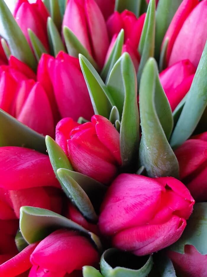 Foto's Bloemen Bezorgen Almere