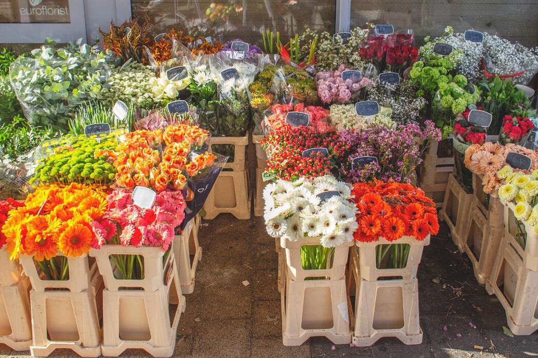 Foto's Bloemen Bezorgen Almere