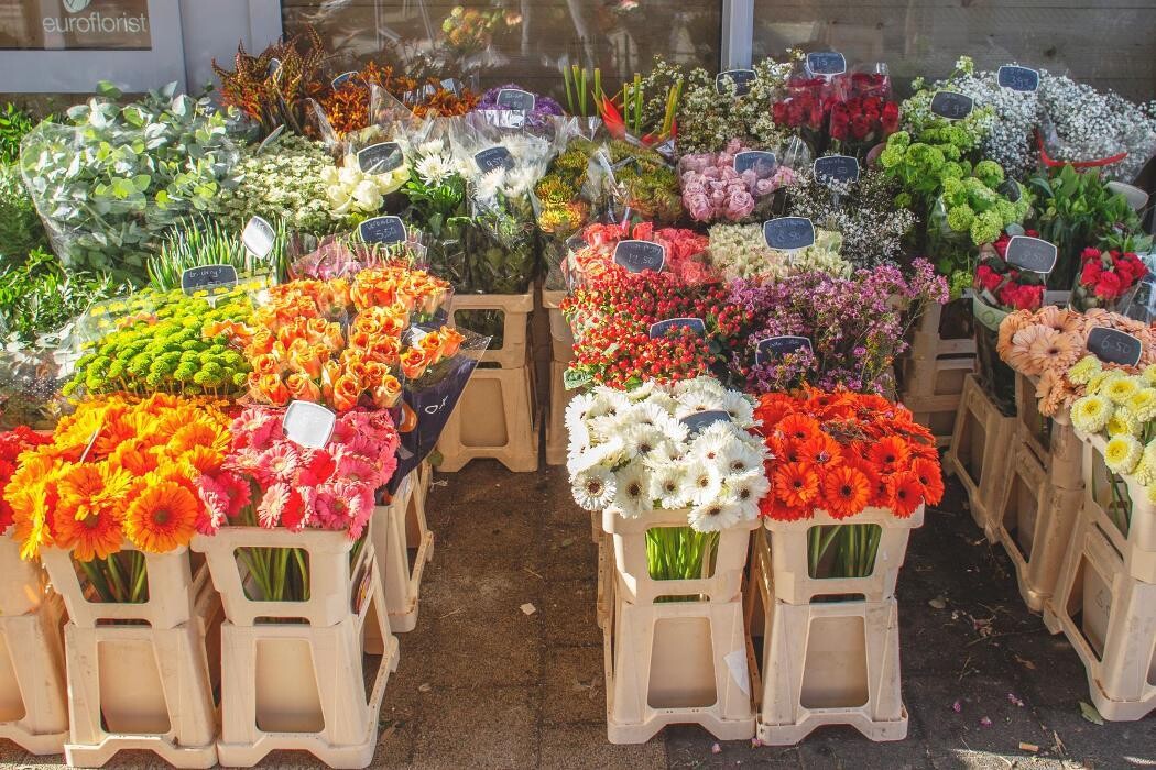 Foto's Bloemen Bezorgen Almere