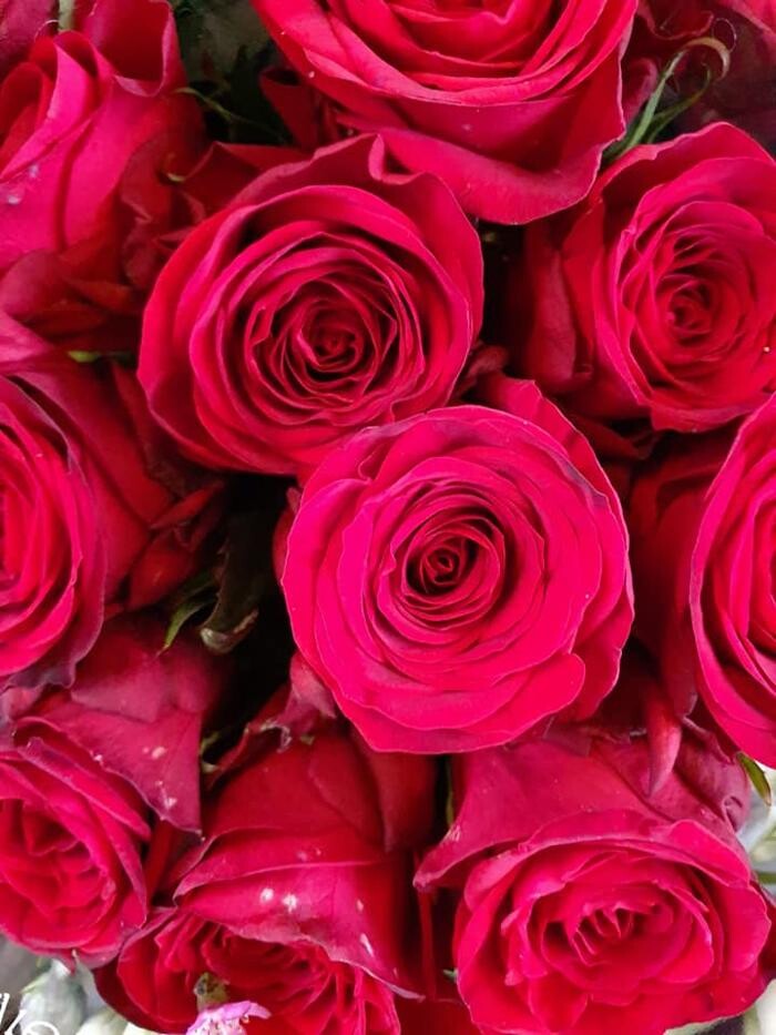 Foto's Bloemen Bezorgen Almere