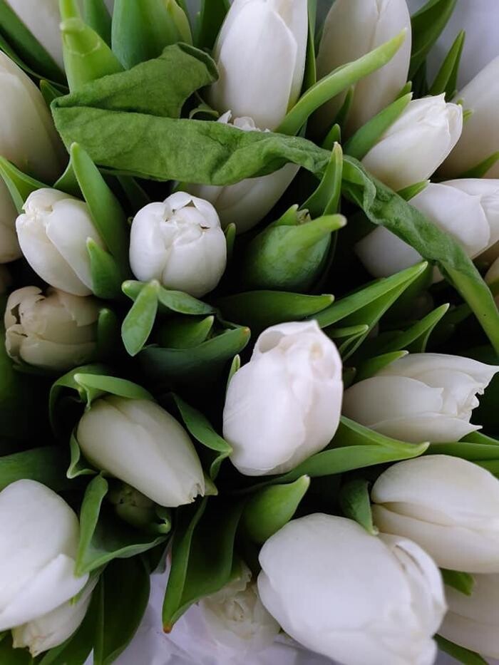 Foto's Bloemen Bezorgen Almere