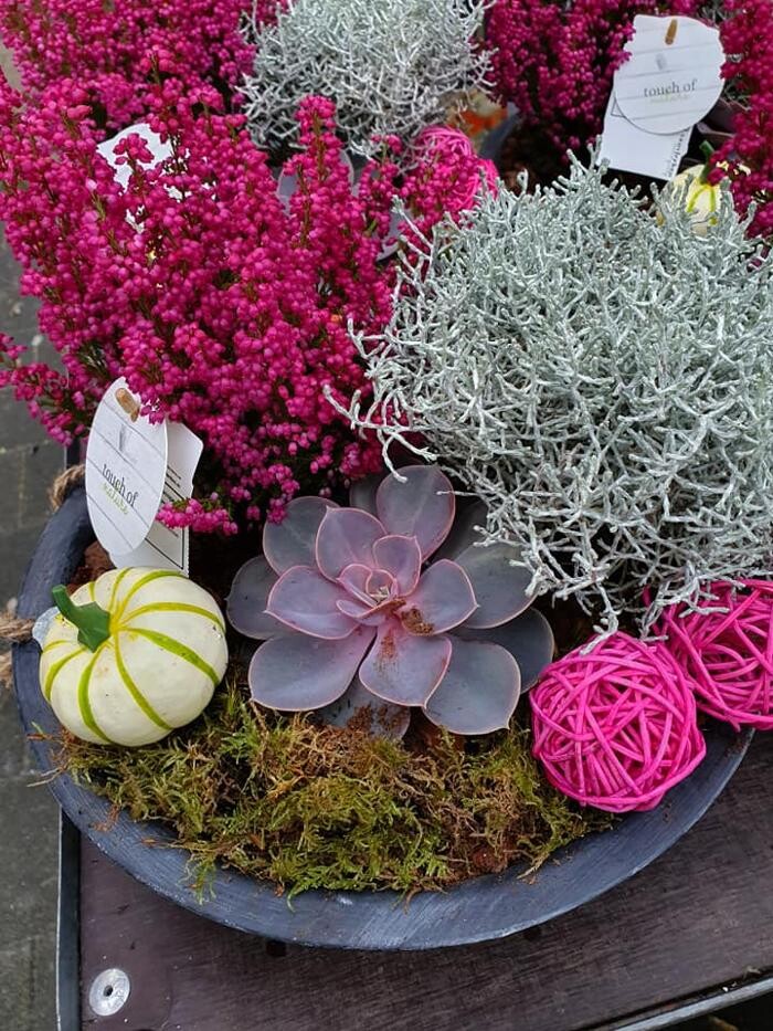 Foto's Bloemen Bezorgen Almere