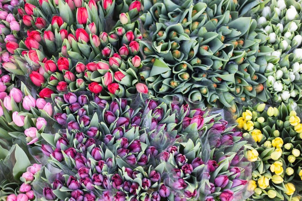 Foto's Bloemen Bezorgen Almere