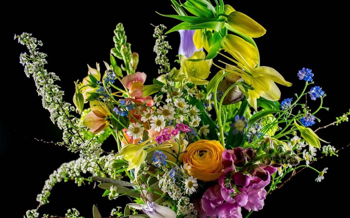 Foto's Bloemen Bezorgen Amsterdam