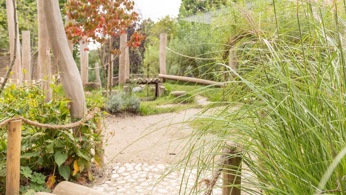 Foto's Kindergarden Bankaplein Den Haag