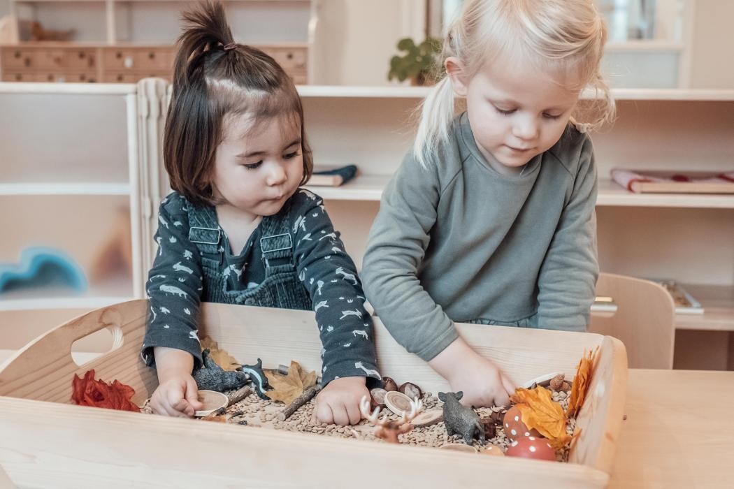 Foto's Kindergarden Oisterwijk