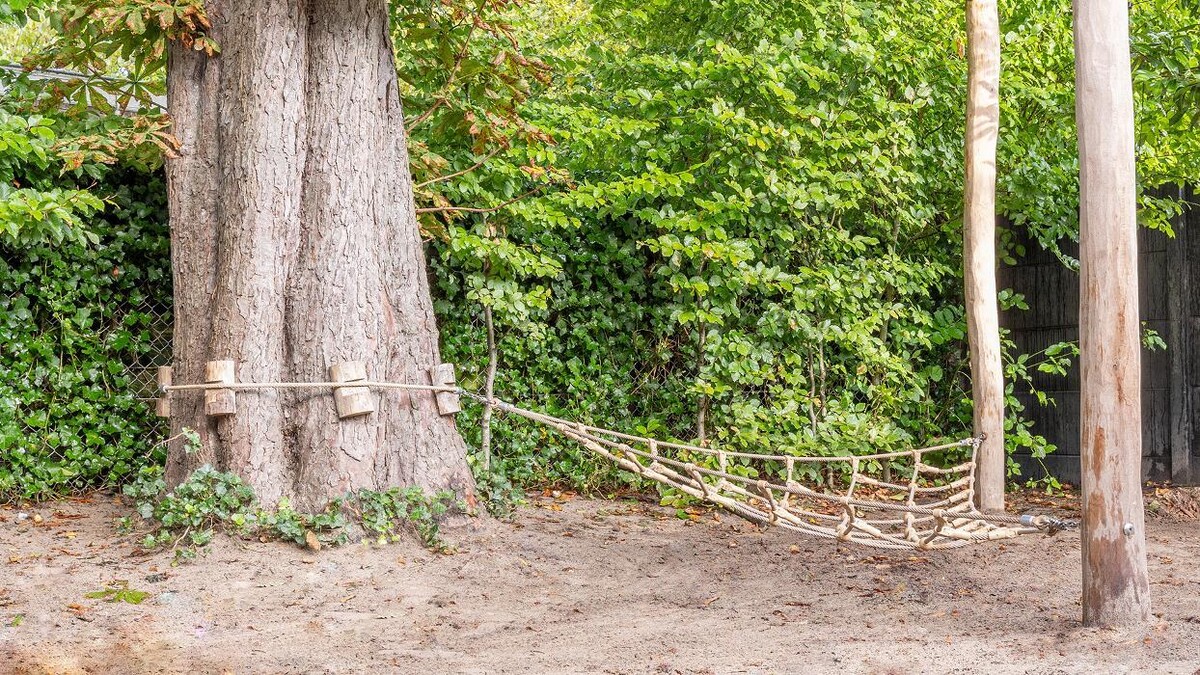 Foto's Kindergarden Princenhage Breda