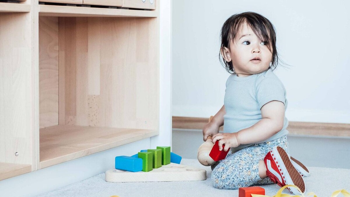 Foto's Kindergarden Voormalige Stadstimmertuin Amsterdam