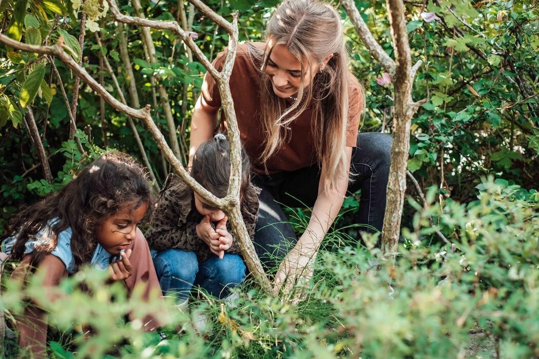 Foto's Kindergarden Voormalige Stadstimmertuin Amsterdam