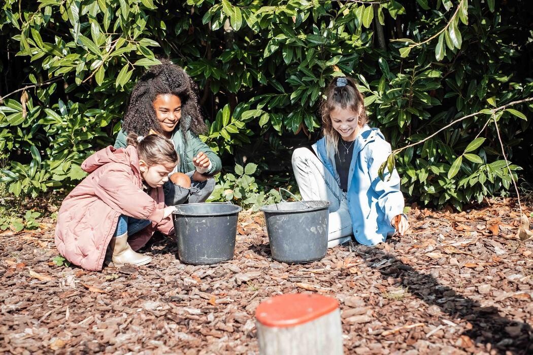 Foto's Kindergarden Voormalige Stadstimmertuin Amsterdam