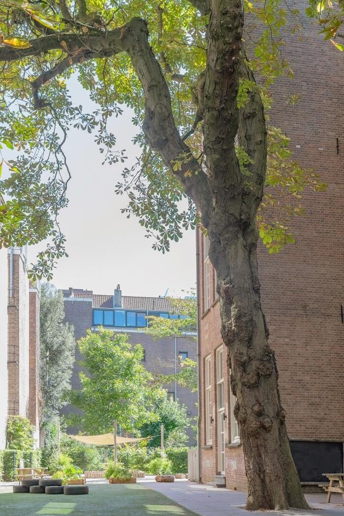 Foto's Kindergarden Voormalige Stadstimmertuin Amsterdam