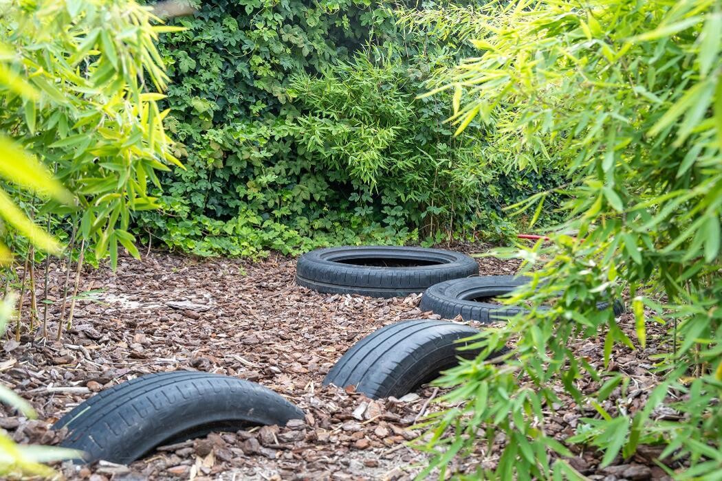 Foto's Kindergarden Eindhoven