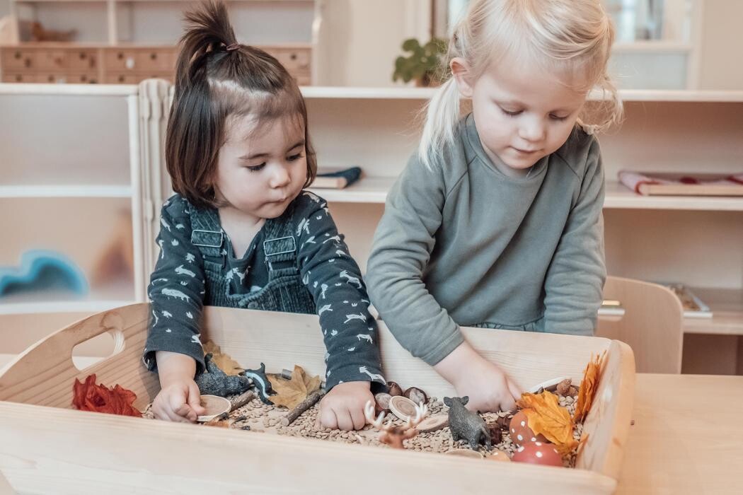 Foto's Kindergarden Brediusweg Bussum