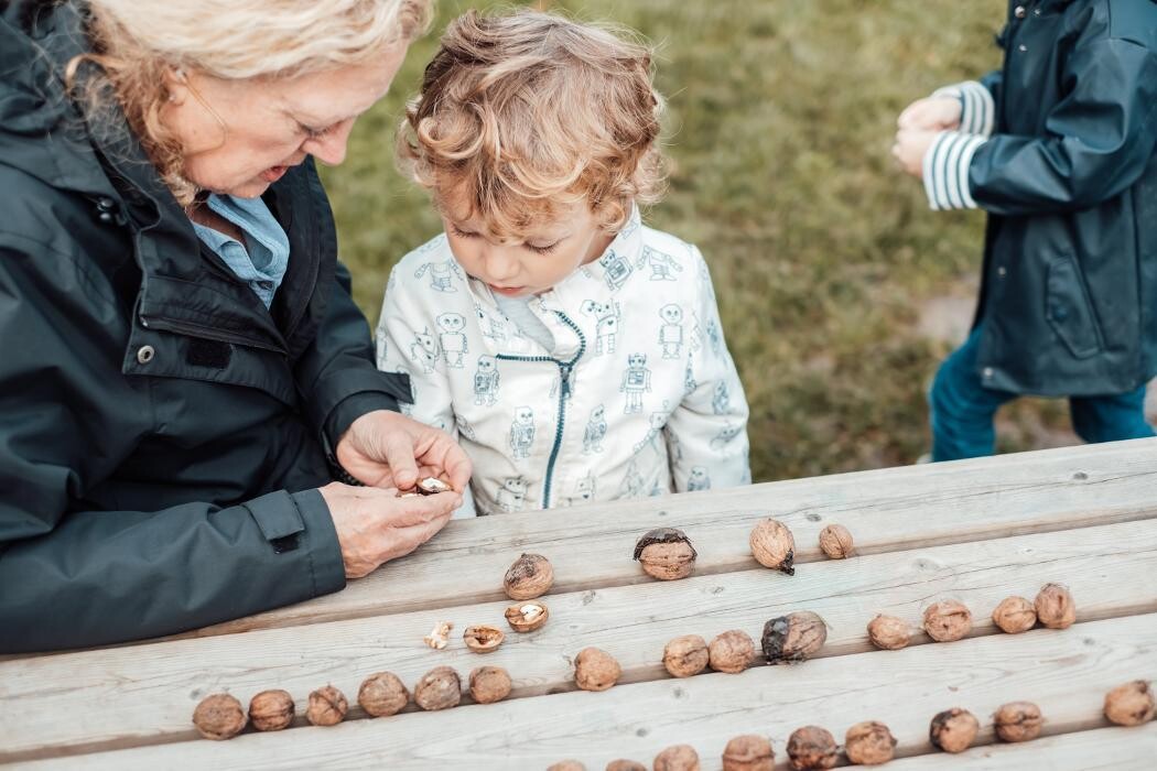 Foto's Kindergarden Tuibrug Houten BSO