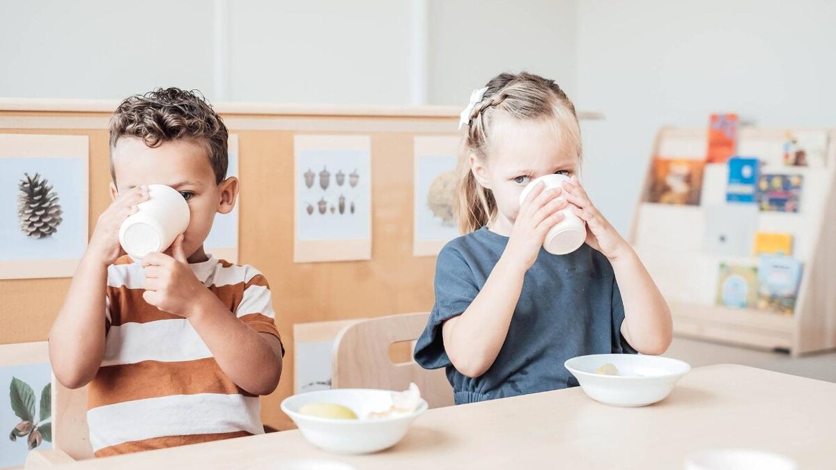 Foto's Kindergarden Steigereiland Amsterdam