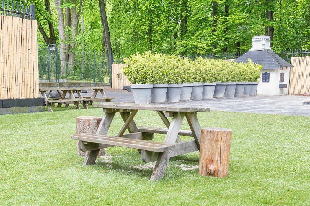 Foto's Kindergarden Bezuidenhoutseweg Den Haag