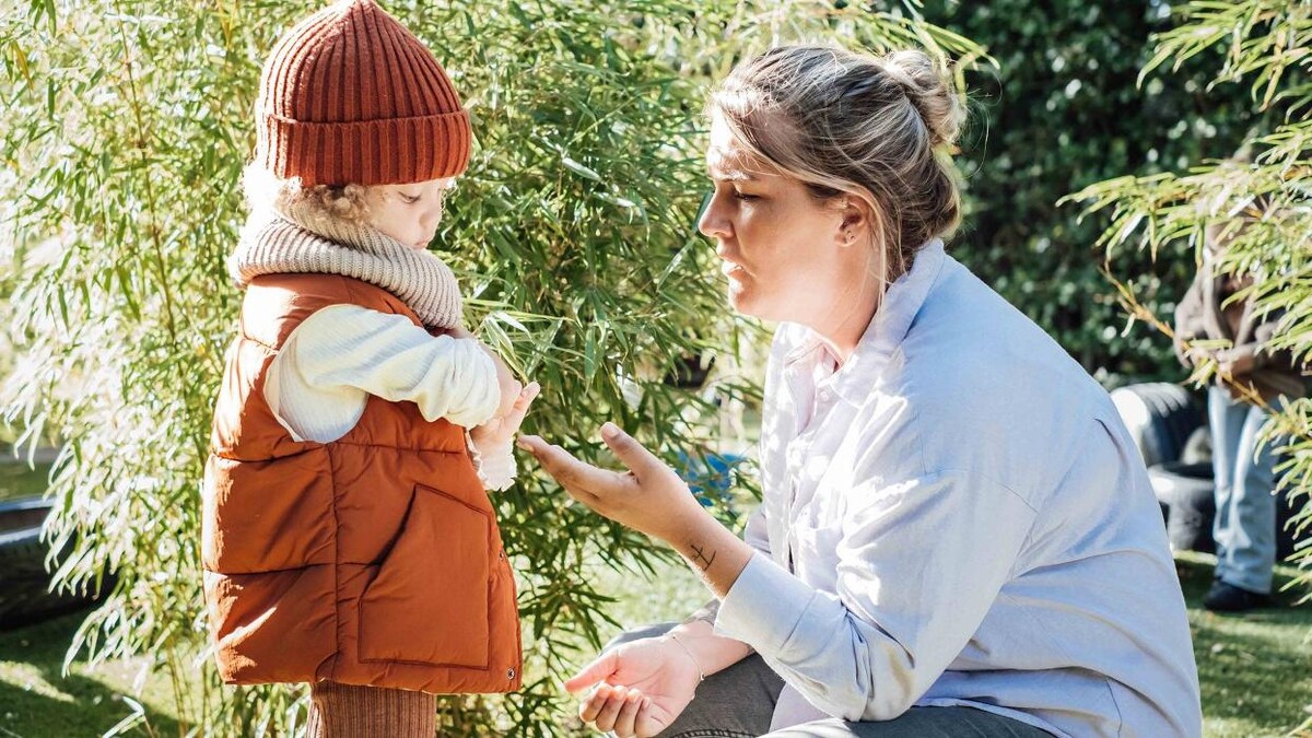 Foto's Kindergarden Koningin Wilhelminalaan Haarlem