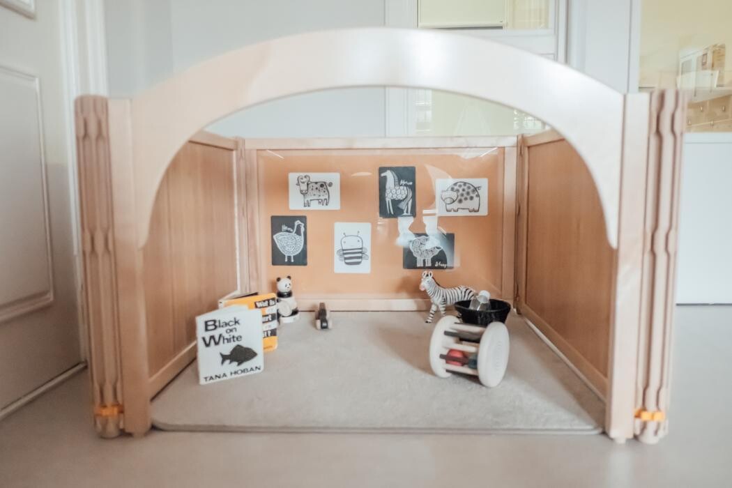 Foto's Kindergarden Koningin Wilhelminalaan Haarlem