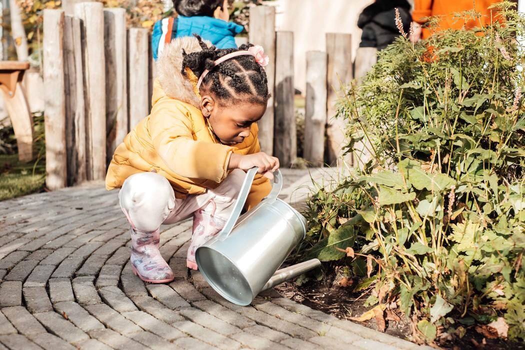Foto's Kindergarden Buitenhofdreef Delft