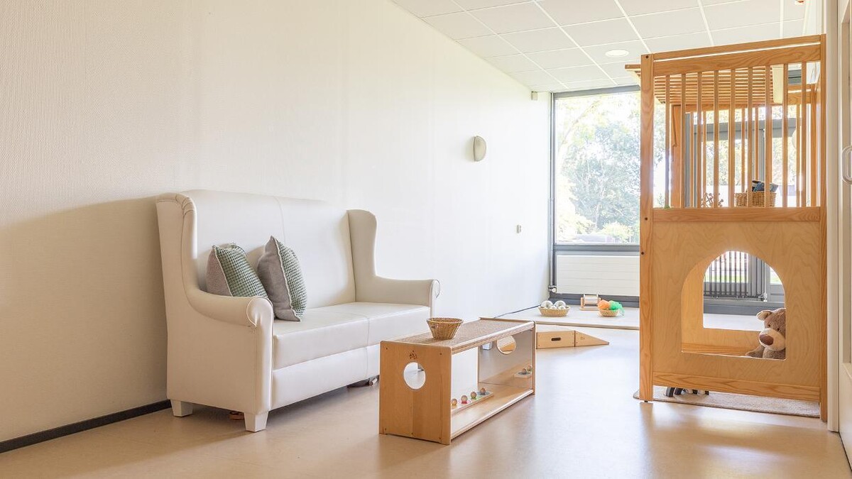 Foto's Kindergarden Buitenhofdreef Delft