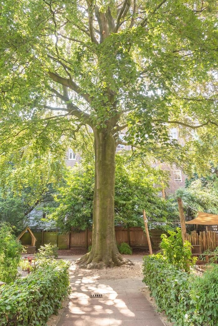 Foto's Kindergarden Vondelstraat Amsterdam