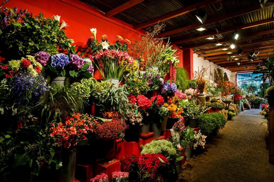 Foto's Bloemen Bezorgen Den Haag