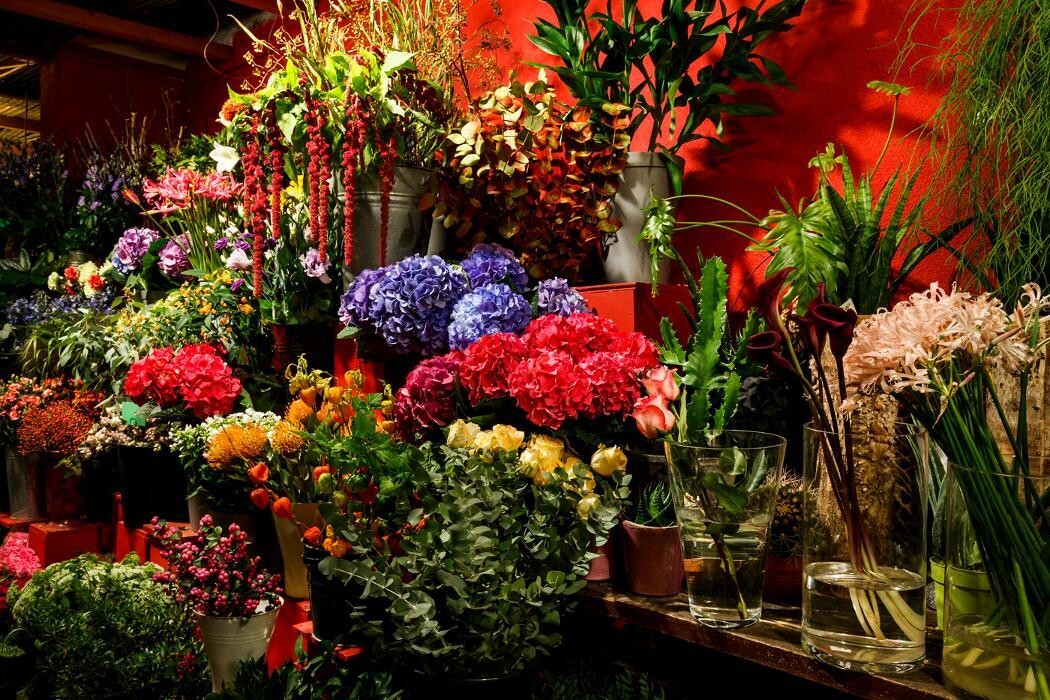 Foto's Bloemen Bezorgen Den Haag