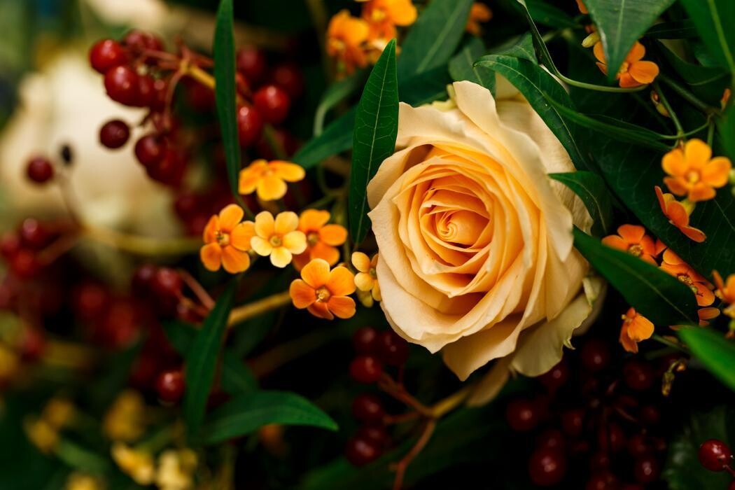 Foto's Bloemen Bezorgen Den Haag