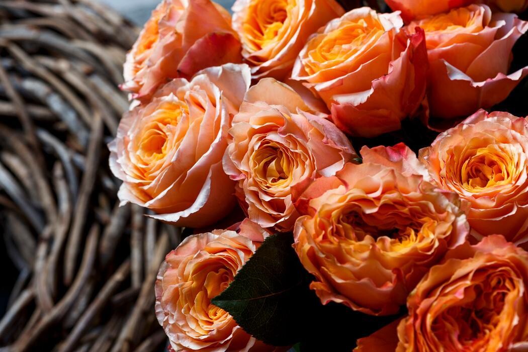 Foto's Bloemen Bezorgen Den Haag